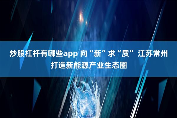 炒股杠杆有哪些app 向“新”求“质” 江苏常州打造新能源产业生态圈