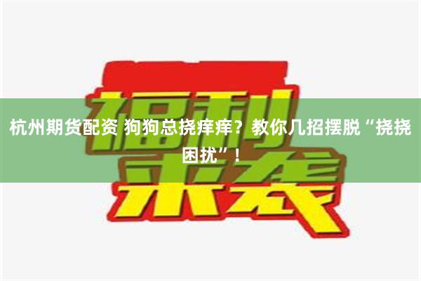 杭州期货配资 狗狗总挠痒痒？教你几招摆脱“挠挠困扰”！