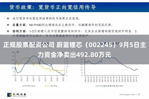 正规股票配资公司 蔚蓝锂芯（002245）9月5日主力资金净卖出492.80万元