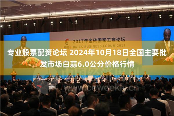 专业股票配资论坛 2024年10月18日全国主要批发市场白蒜6.0公分价格行情