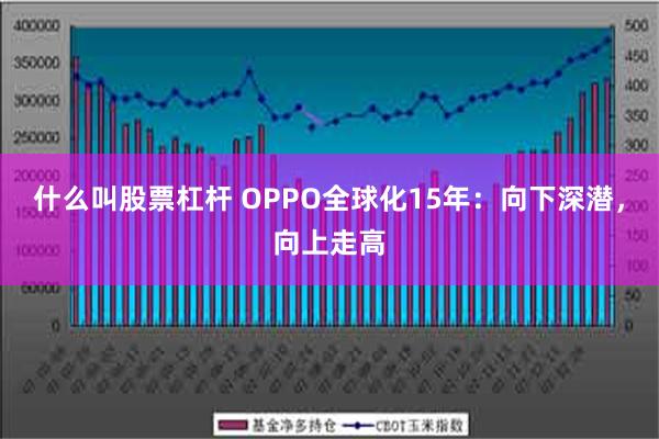 什么叫股票杠杆 OPPO全球化15年：向下深潜，向上走高