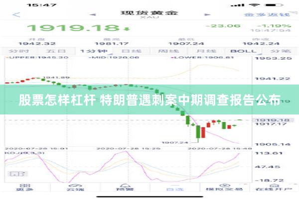 股票怎样杠杆 特朗普遇刺案中期调查报告公布