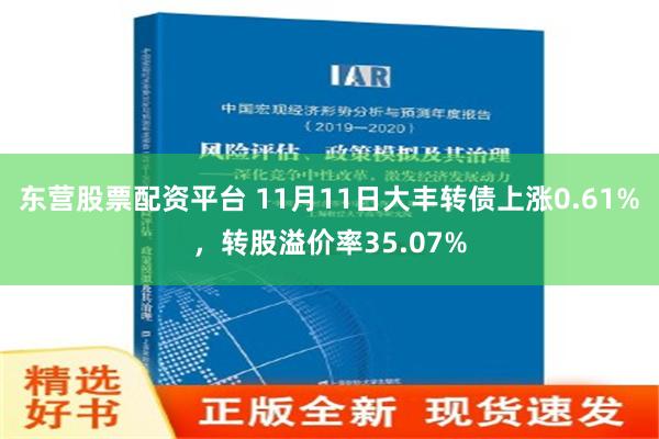 东营股票配资平台 11月11日大丰转债上涨0.61%，转股溢价率35.07%