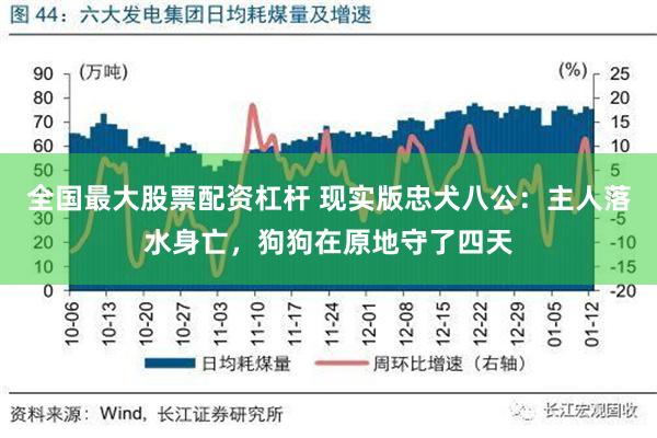 全国最大股票配资杠杆 现实版忠犬八公：主人落水身亡，狗狗在原地守了四天