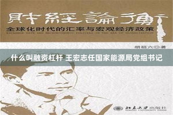 什么叫融资杠杆 王宏志任国家能源局党组书记