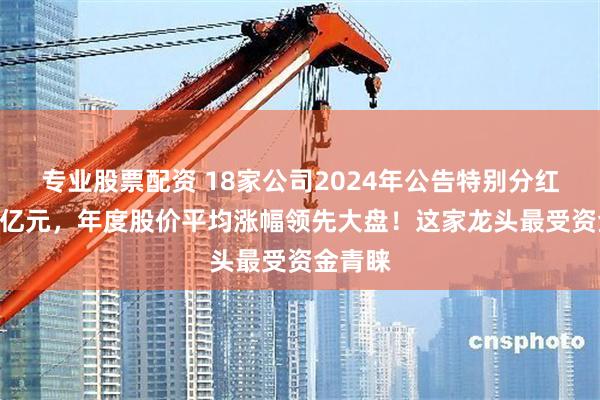 专业股票配资 18家公司2024年公告特别分红超170亿元，年度股价平均涨幅领先大盘！这家龙头最受资金青睐