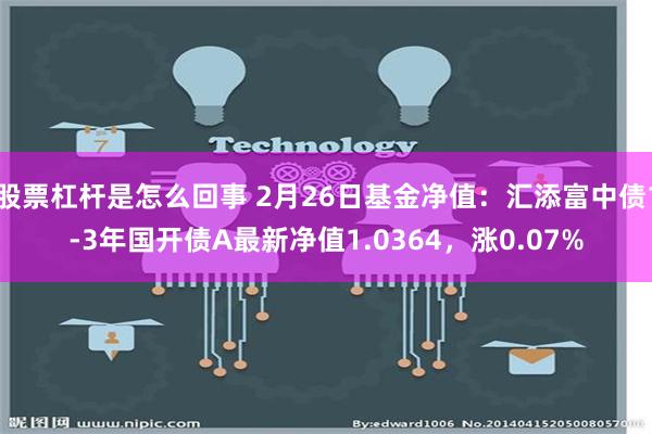 股票杠杆是怎么回事 2月26日基金净值：汇添富中债1-3年国开债A最新净值1.0364，涨0.07%