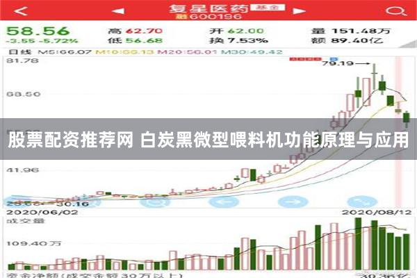 股票配资推荐网 白炭黑微型喂料机功能原理与应用